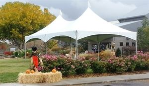 Grand Events & Party Rentals