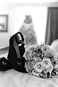 Amy Reeves Photography