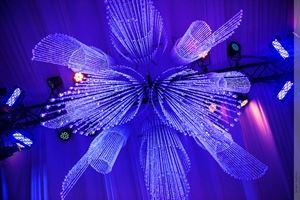 Shawn Schindler Events