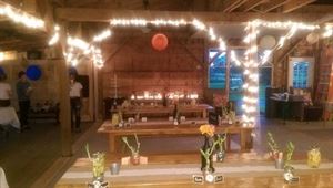 Tia Marie Events & Wedding Coordination