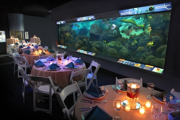 Texas State Aquarium