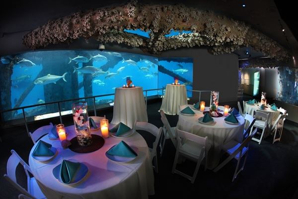 Texas State Aquarium