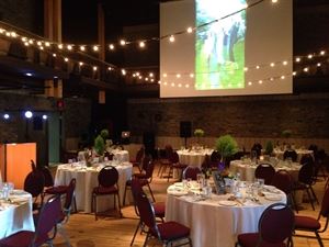 Sonic Sensations Entertainment