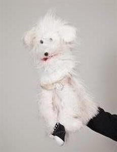 Small Wonders Puppet Theater