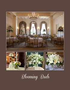Blooming Buds