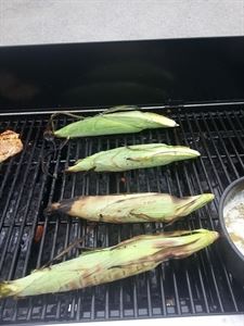 Grand Grilling to Go