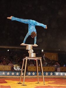 Aristov & Company The Family Variety Circus Show