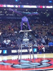 Aristov & Company The Family Variety Circus Show