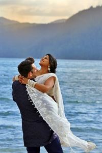 The Love Bird Photography