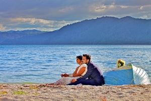 The Love Bird Photography