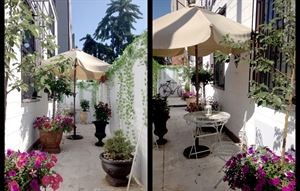 The Love Shack - A Little Palace in Brooklyn