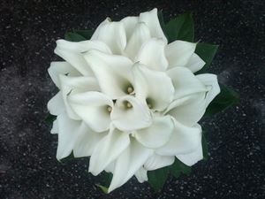 CUTE FLOWERS & GIFTS