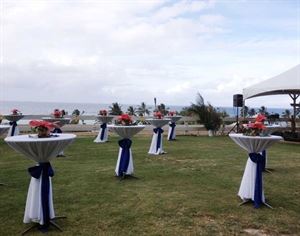 Platinum Tents and Events