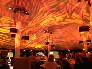 NE Showtime Productions Inc.