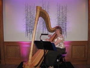 Harpist Serena O'Meara - La Crosse