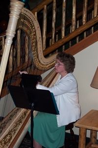 Harpist Serena O'Meara - La Crosse