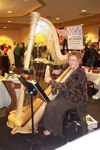 Harpist Serena O'Meara - Wisconsin Dells