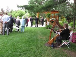 Harpist Serena O'Meara - Wisconsin Dells