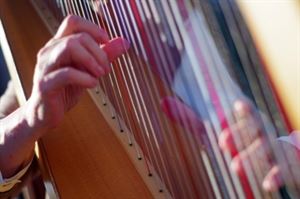 Harpist Serena O'Meara - Wisconsin Dells