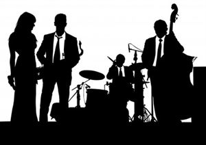 About Music Pro: DJ s, Musicians & Bands