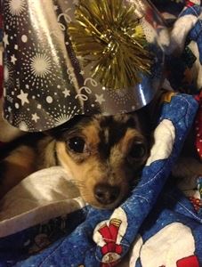 Sweet Soundz DJ Service