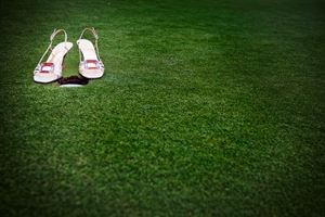 Paul McDermott Photography