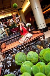 Paul McDermott Photography