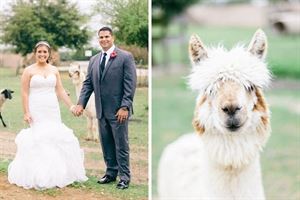 Kim Schaffer Photography