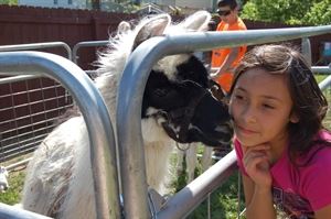 Pony Pals Party Ponies