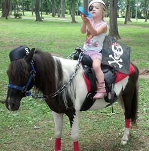 Pony Pals Party Ponies