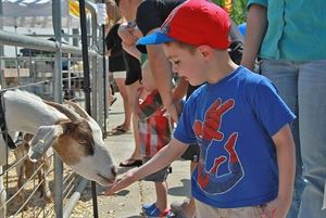 Pony Pals Party Ponies