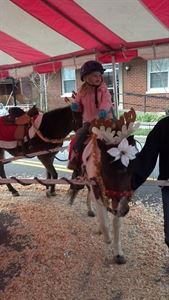 Pony Pals Party Ponies