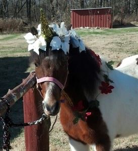 Pony Pals Party Ponies