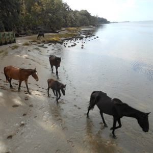 Up The Creek Xpeditions