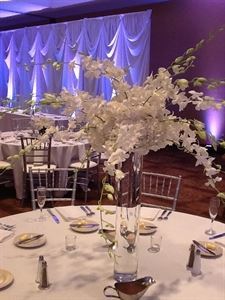 Lowe's Greenhouses, Florist and Gift Shop