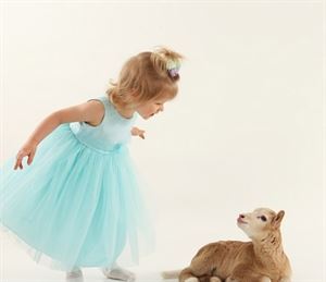 Jonathan's Portraits