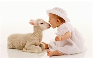 Jonathan's Portraits