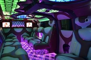 VIP Limousine, Inc.
