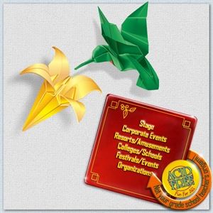 Michael Roy's PAPER MAGIC "Amazement In Creases"