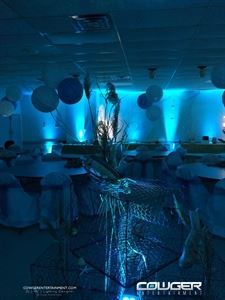 Cowger Entertainment