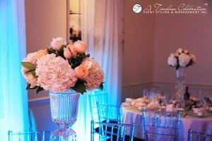 A Timeless Celebration