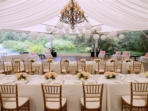 Annie Lane Events & Decor Ltd