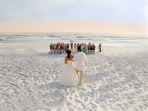 Jan Simmons Photography