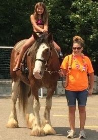 Chamberlin Pony Rides & Mobile Petting Zoo