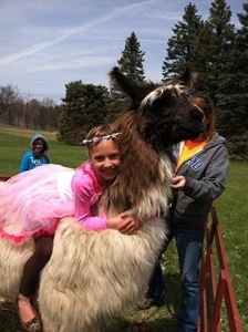 Chamberlin Pony Rides & Mobile Petting Zoo