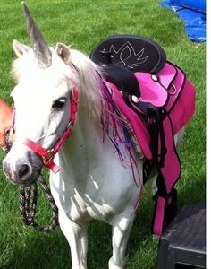 Chamberlin Pony Rides & Mobile Petting Zoo