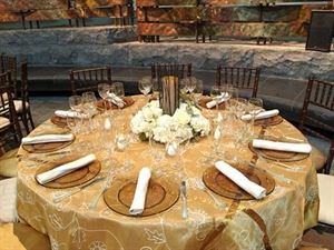 Memorable Occasions Event Planning