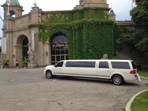 Toronto Limos 416