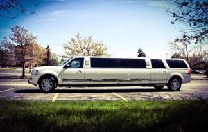 Toronto Limos 416