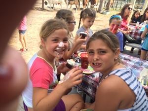 Rockin n Stables llc - Albany